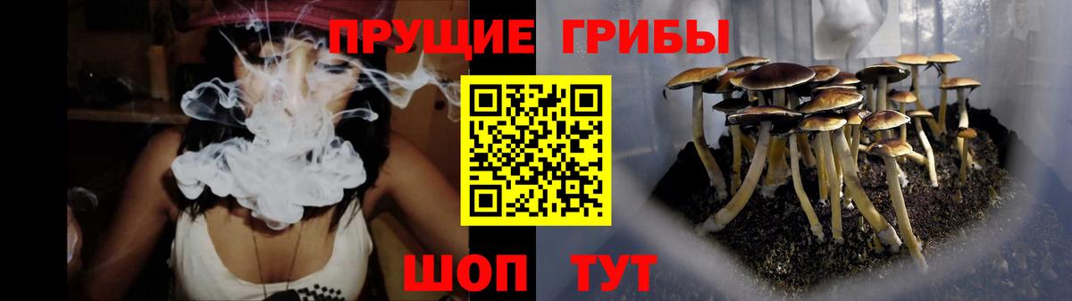Галлюциногенные грибы GOLDEN TEACHER  Вход с VPN  Сарапул  наркошоп  Псилоцибиновые грибы мицелий 
